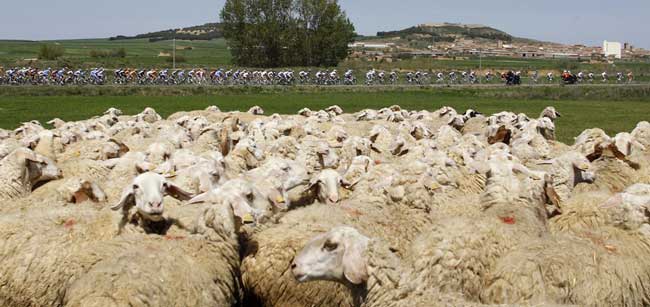 تور دو چرخه سواري