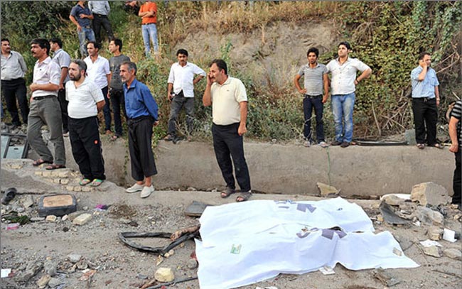 تصادف تاکسی با شتر