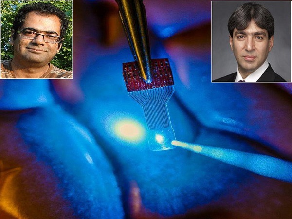 ساخت حسگر فوق‌ شفاف برای نظارت بر عملکرد مغز