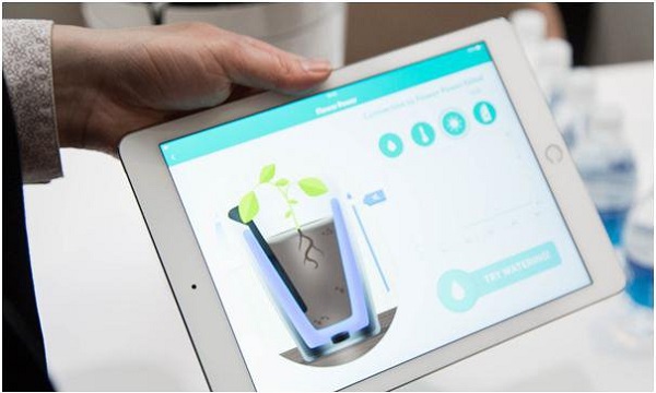 گلدانی که به گیاهان آب هم می‌دهد+تصاویر