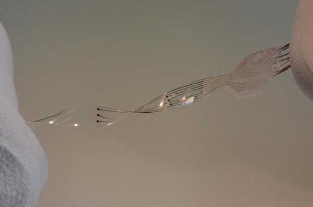 رؤیای راه رفتن برای معلولان رنگ واقعیت می‌گیرد