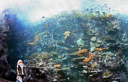بزرگترین آکواریوم جهان در آمریکا (+عکس)