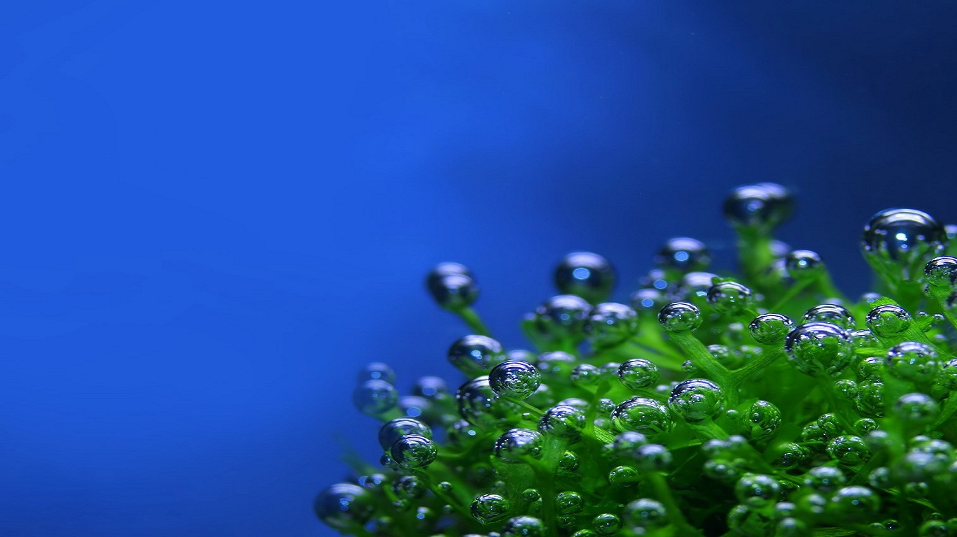 این تصاویر زیبا را ببینید!