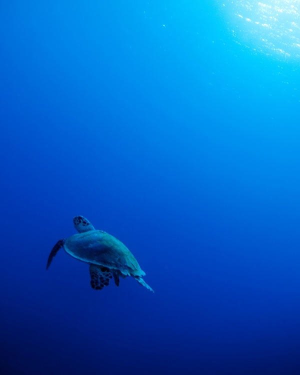 این تصاویر زیبا را ببینید!