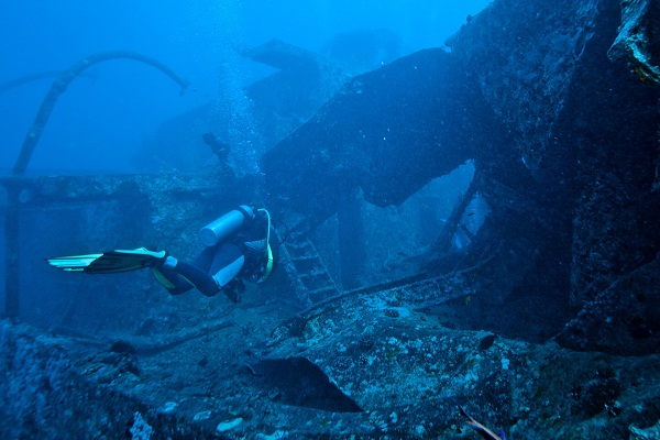 در اعماق اقیانوس(عکس)