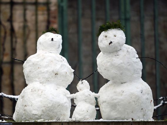 عجیب ترین تصاویر سال 2014