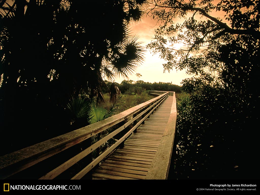 از نشنال جئوگرافیک(عکس)