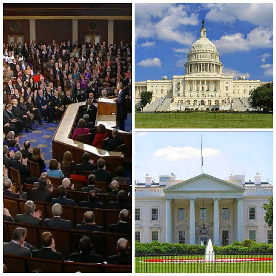 اگر شب نطق اوباما همه مقامات آمریکایی می مردند...