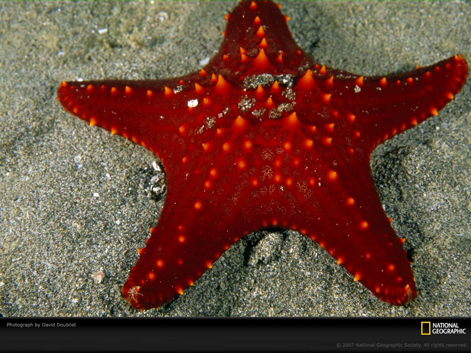 از نشنال جئوگرافیک(عکس)