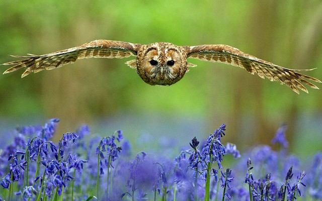 دیدنی های امروز