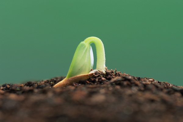 این تصاویر زیبا را ببینید!