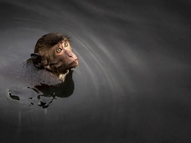 دیدنی های امروز