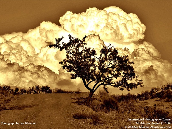 این تصاویر زیبا را ببینید!