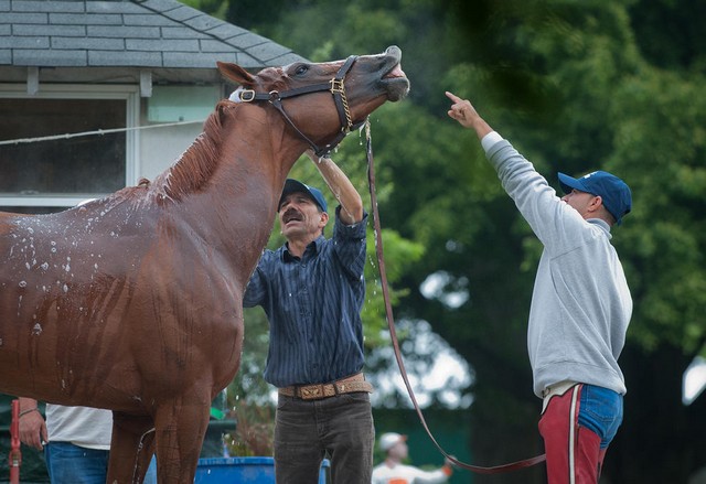 دیدنی های امروز