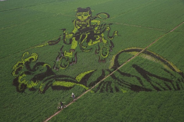 دیدنی های امروز