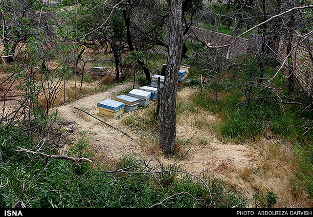 دیدنی های کاشان در یک نگاه (عکس)