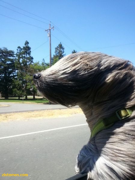 بدون شرح(عکس)