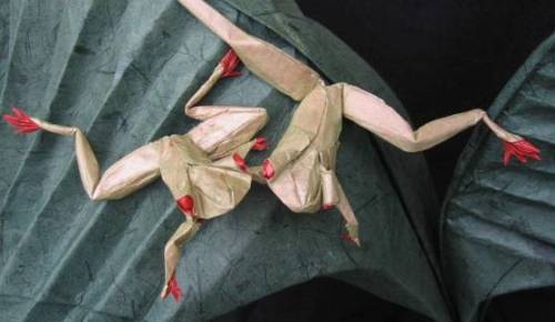 اریگامی؛ هنر کاغذ و تا (+عکس)