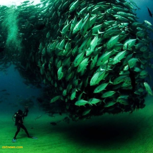 بدون شرح(عکس)