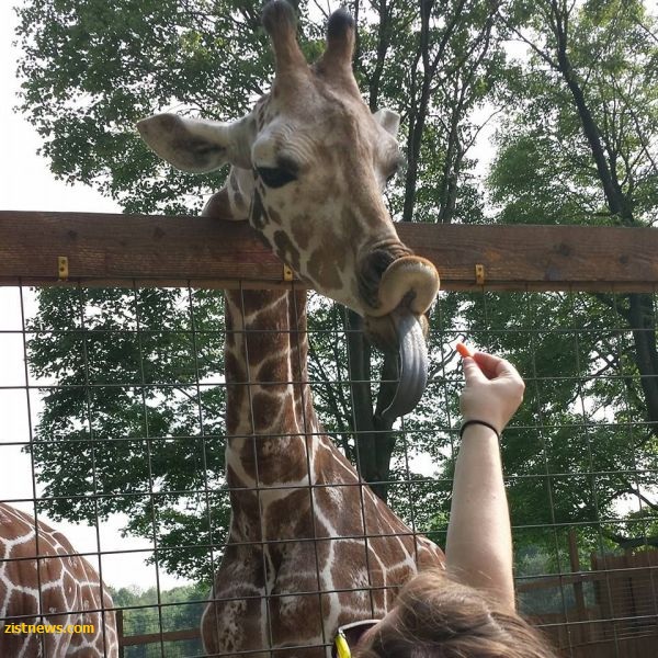 بدون شرح(عکس)