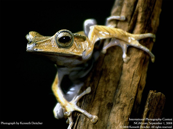 این تصاویر زیبا را ببینید!