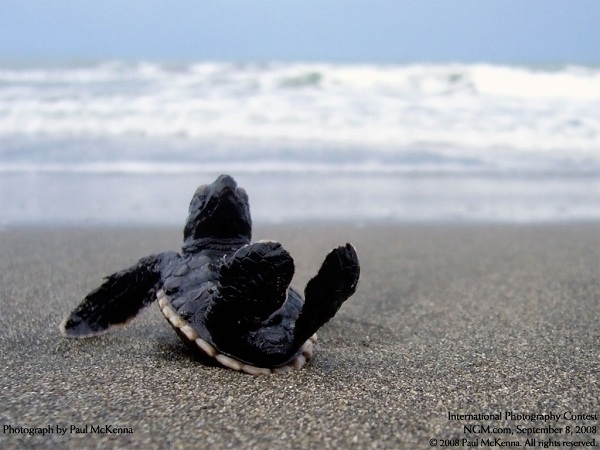 این تصاویر زیبا را ببینید!