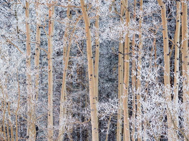 دیدنی های امروز