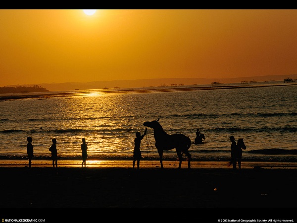 مناظر فوق العاده(عکس)