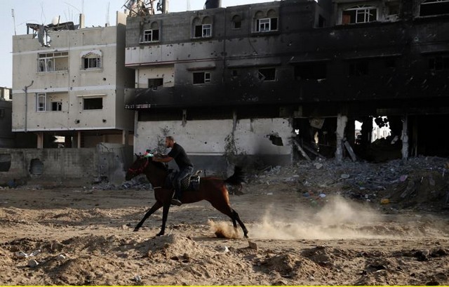 دیدنی های امروز