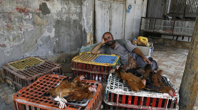 دیدنی های امروز