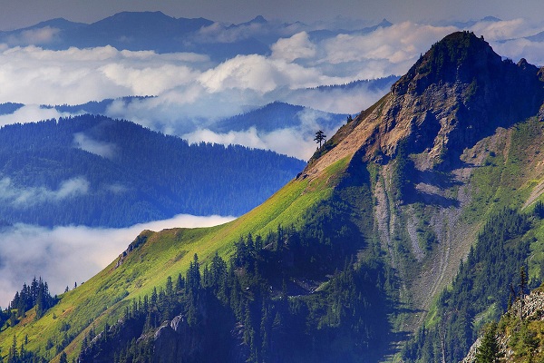 مناظر دیدنی(عکس)