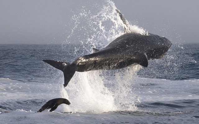 دیدنی های امروز