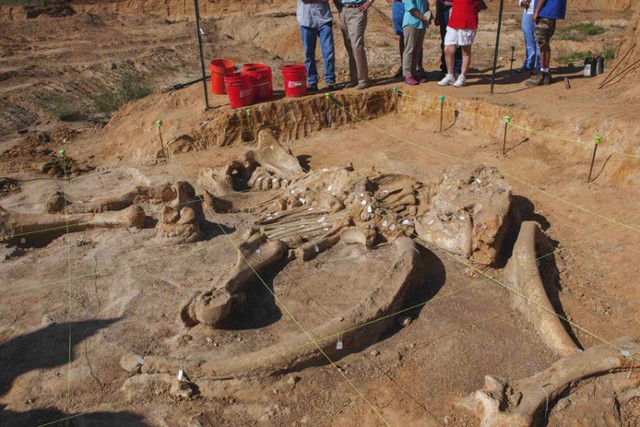 دیدنی های امروز