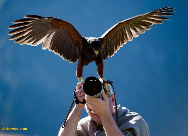 بدون شرح(عکس)