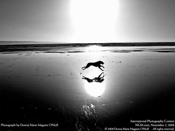 از نشنال جئوگرافیک(عکس)