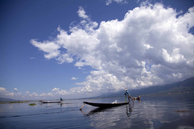 دیدنی های امروز