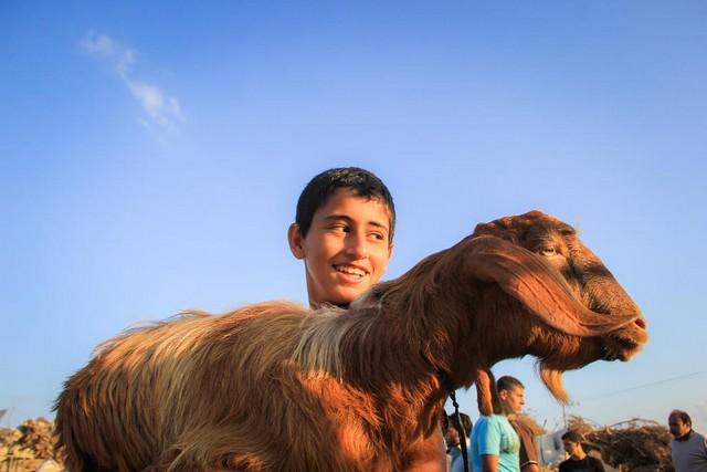 دیدنی های امروز