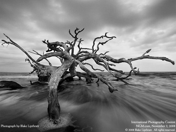 مناظر دیدنی(عکس)