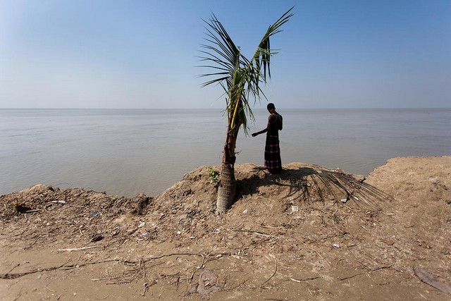 دیدنی های امروز