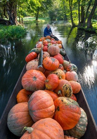 دیدنی های امروز