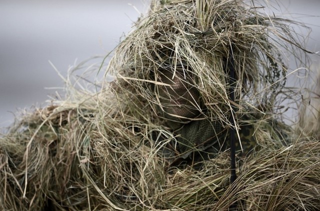 دیدنی های امروز