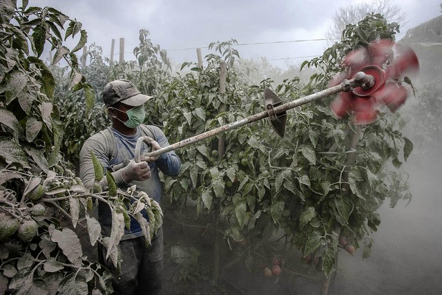 دیدنی های امروز