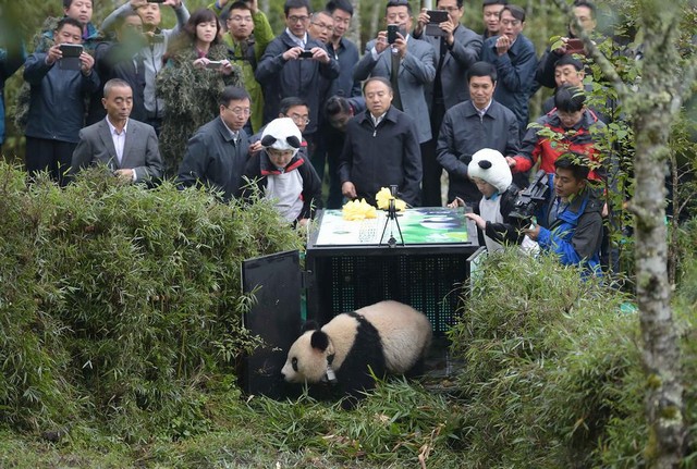 دیدنی های امروز