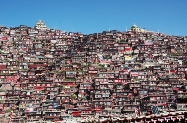 دیدنی های امروز