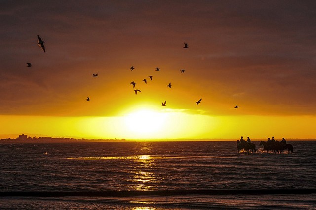 دیدنی های امروز