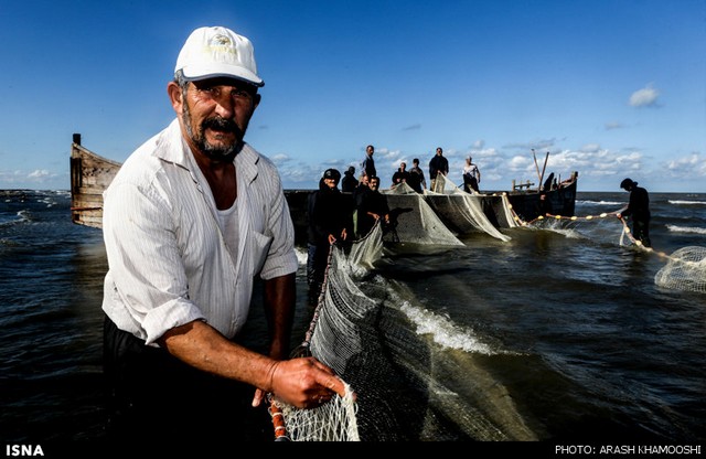 صید ماهی در شمال (عکس)