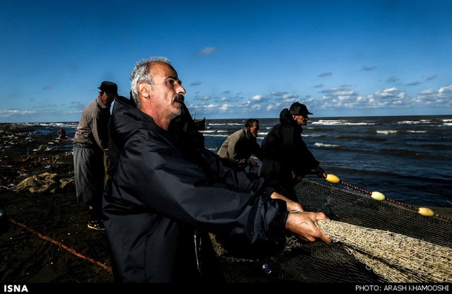صید ماهی در شمال (عکس)