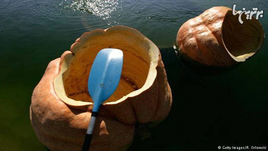 مسابقه هیجان‌انگیز کدو تنبل‌سواری! (+عکس)