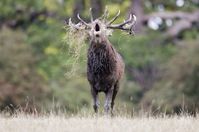 دیدنی های امروز