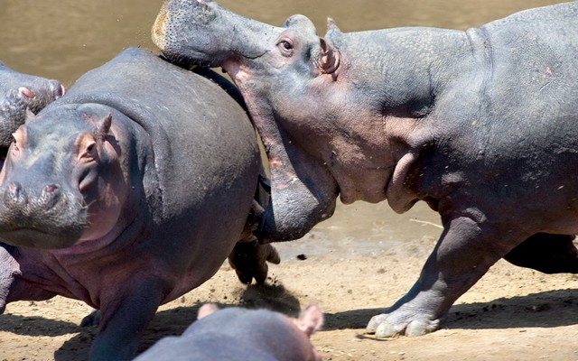 دیدنی های امروز